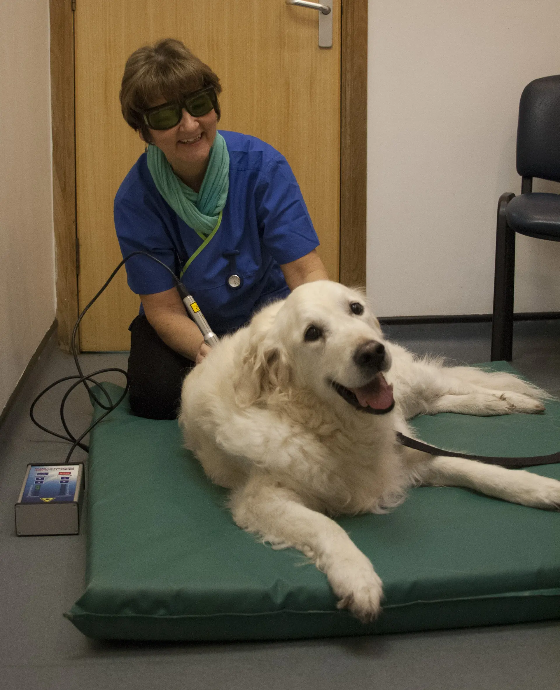 Dalblair Vets Rehabilitation